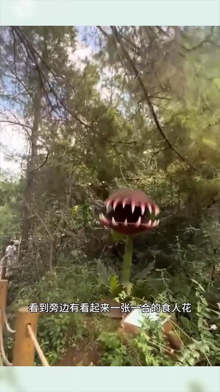 模样吓人的食人花
