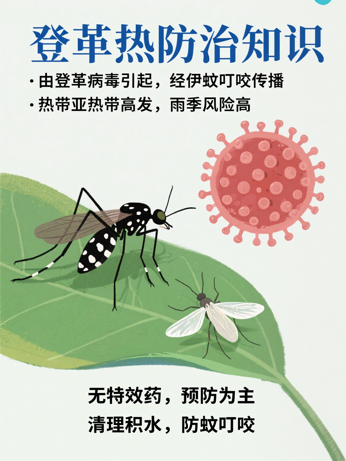  有病毒的蚊子叫什么名字(有病毒的蚊子长什么样)