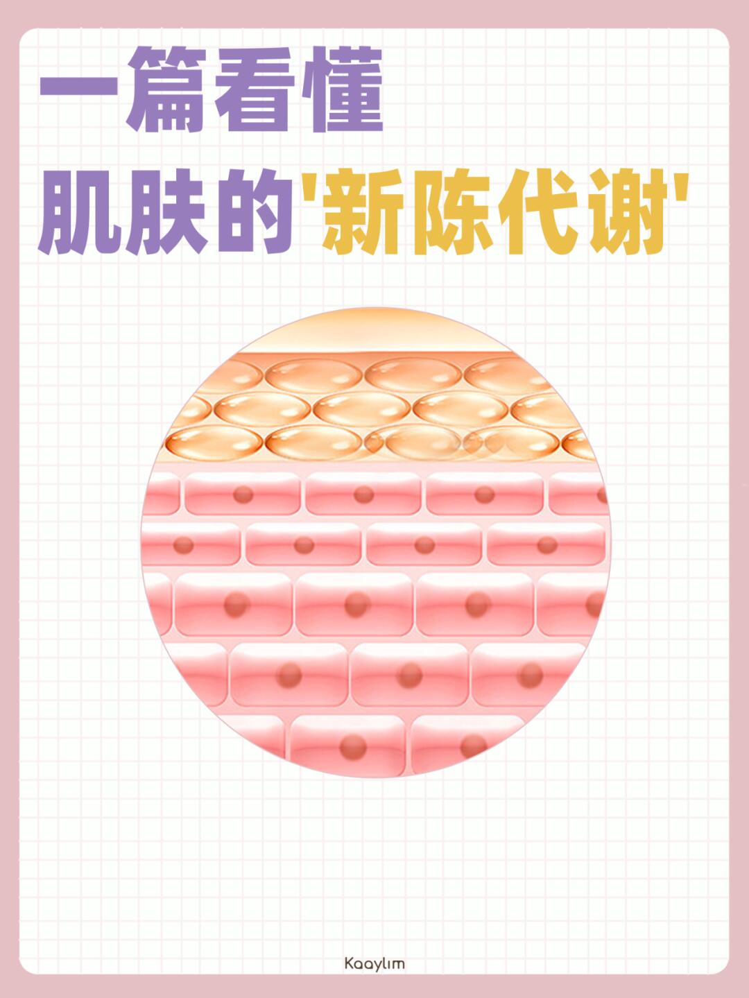 春暖燕归来美丽唤醒计划盛京百货 什么是皮肤新陈