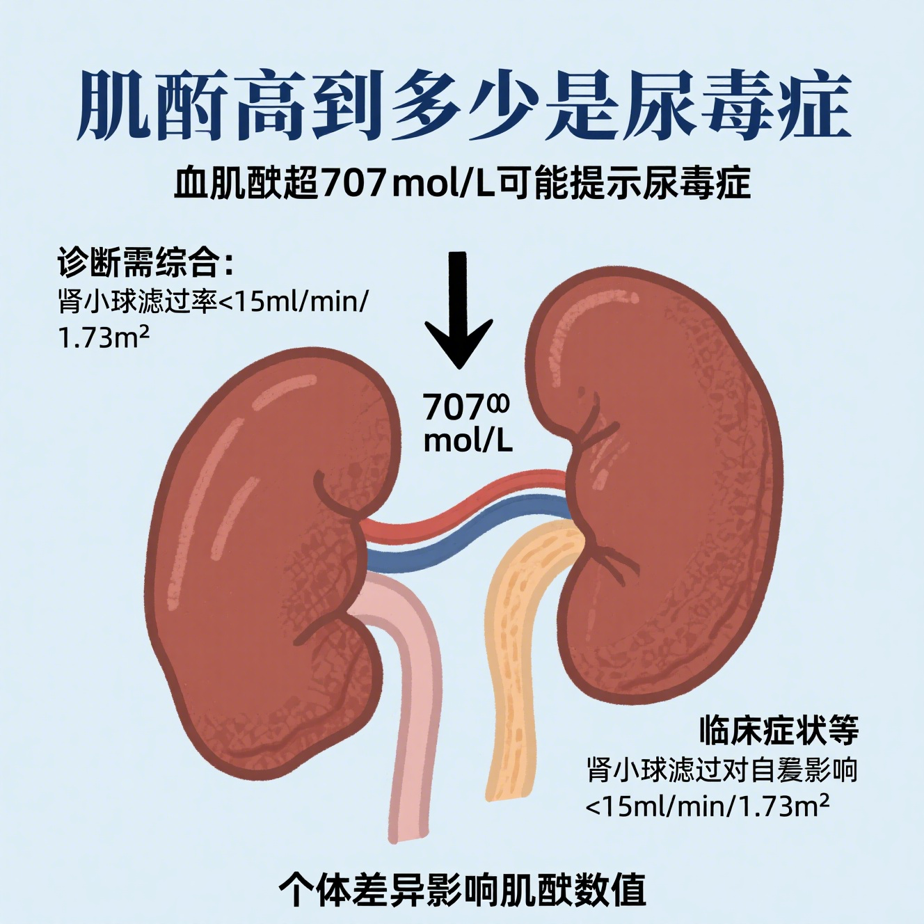一般而言,当血肌酐超过707μmol/l时,临床上常提示患者进入尿毒症阶段
