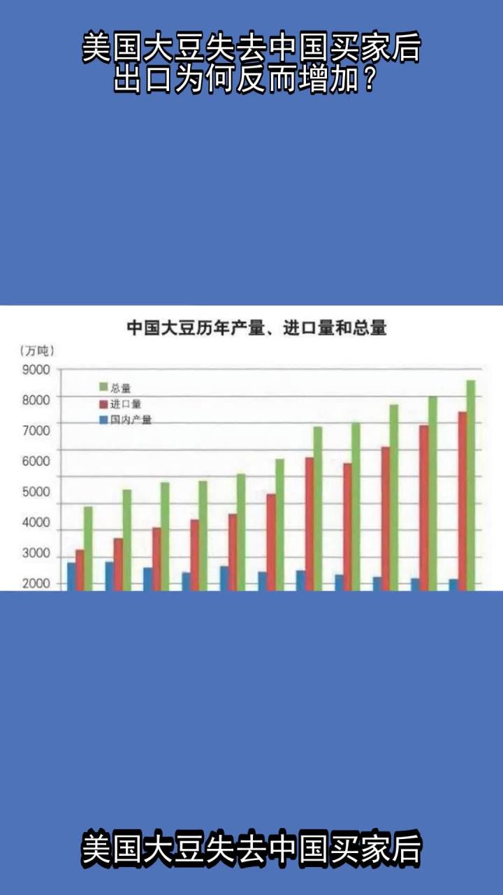 美国大豆失去中国买家后,出口为何反而增加?