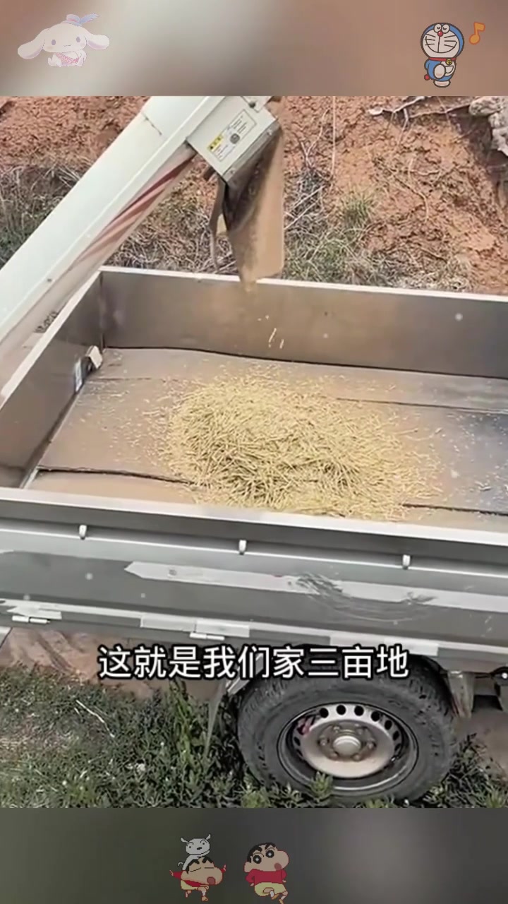 3亩地干什么挣钱(三亩地做什么利润高)