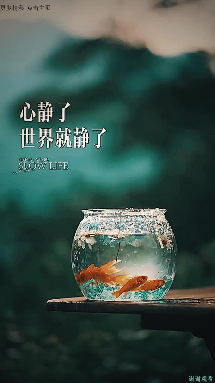 心静了,世界就静了,你要试着安静下来,做自己该做的事情,而不是让焦虑