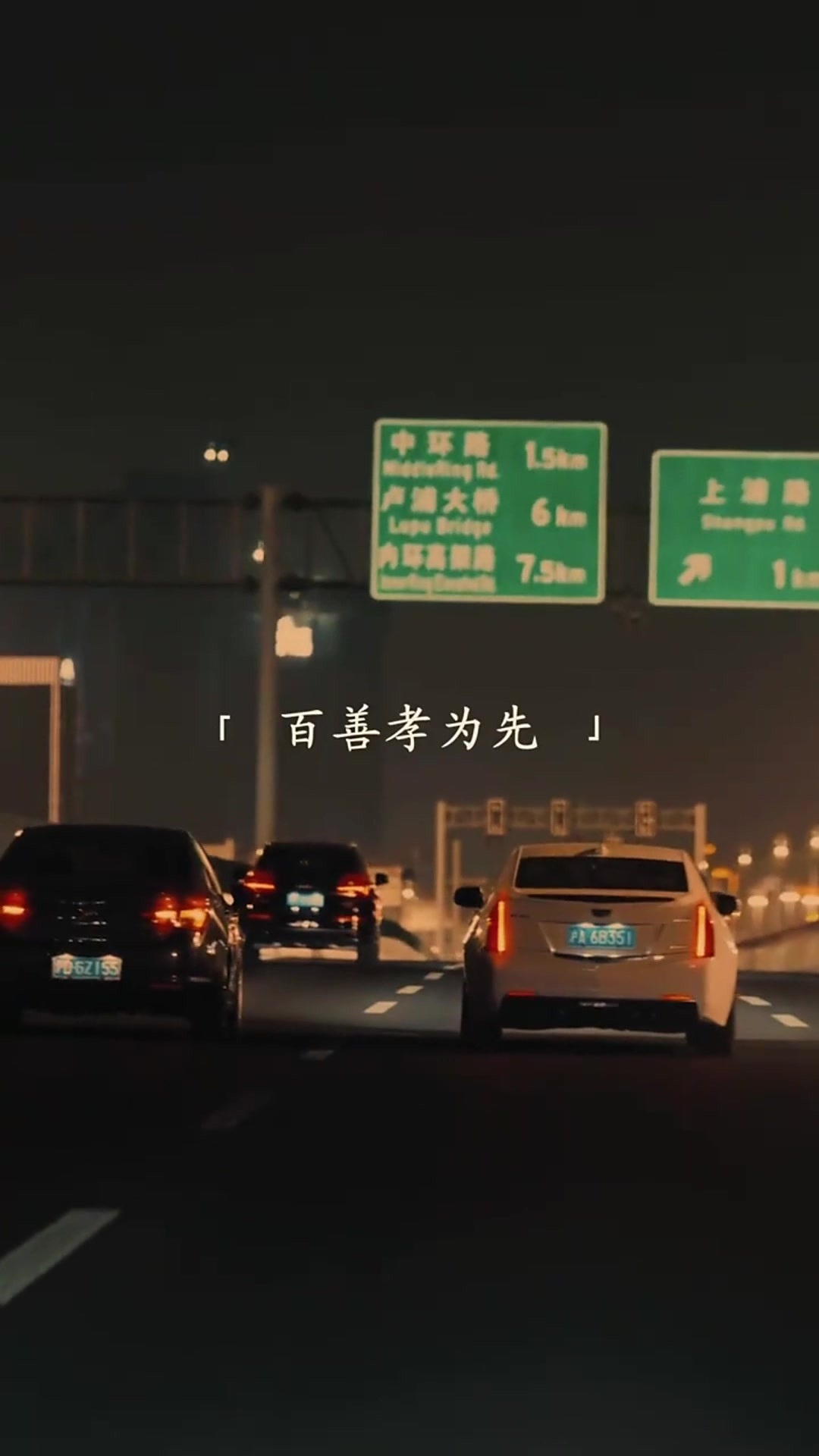 新闻1+12021重阳节(关于重阳节的新闻稿200字)