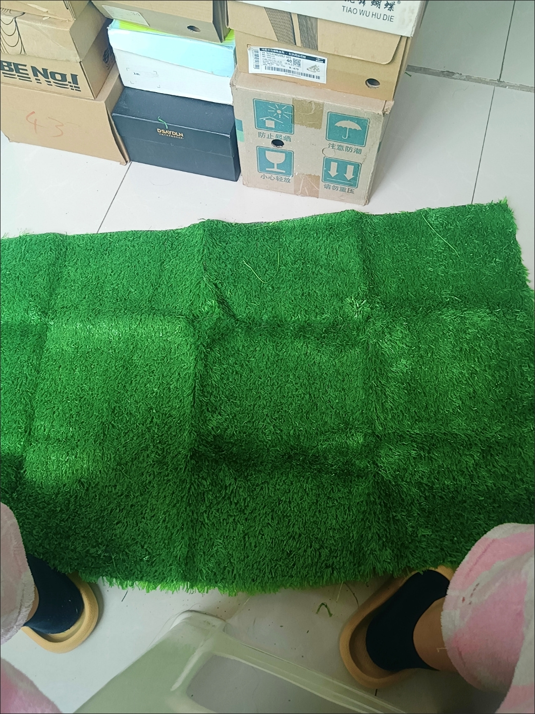 安顺草坪批发