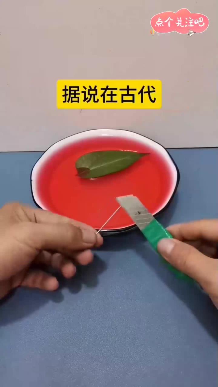 古代简易的指南针