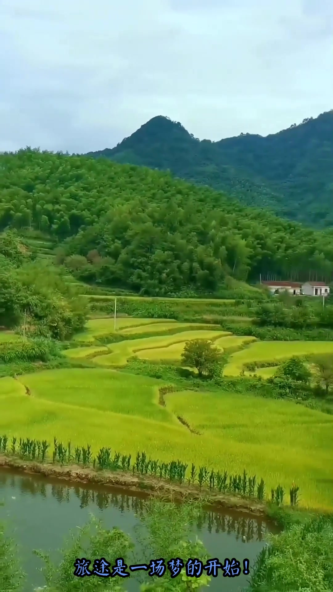 秋季旅行,如果你来不了农村,又想看秋天的农田风景,没关系,我