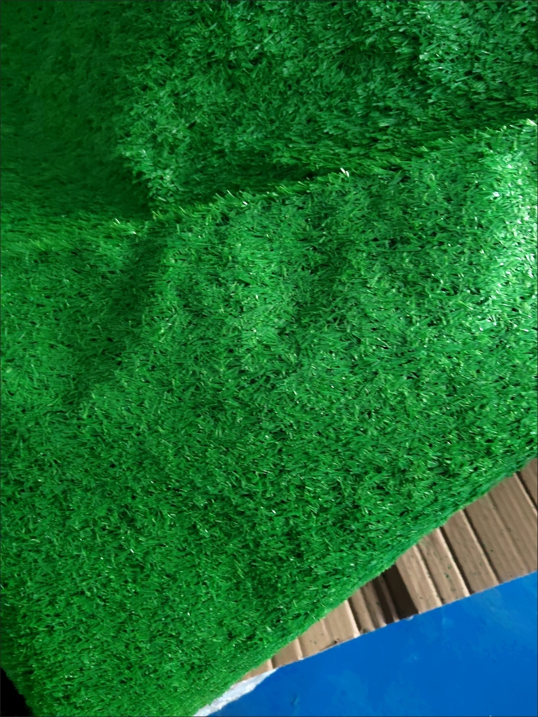 安顺草坪批发