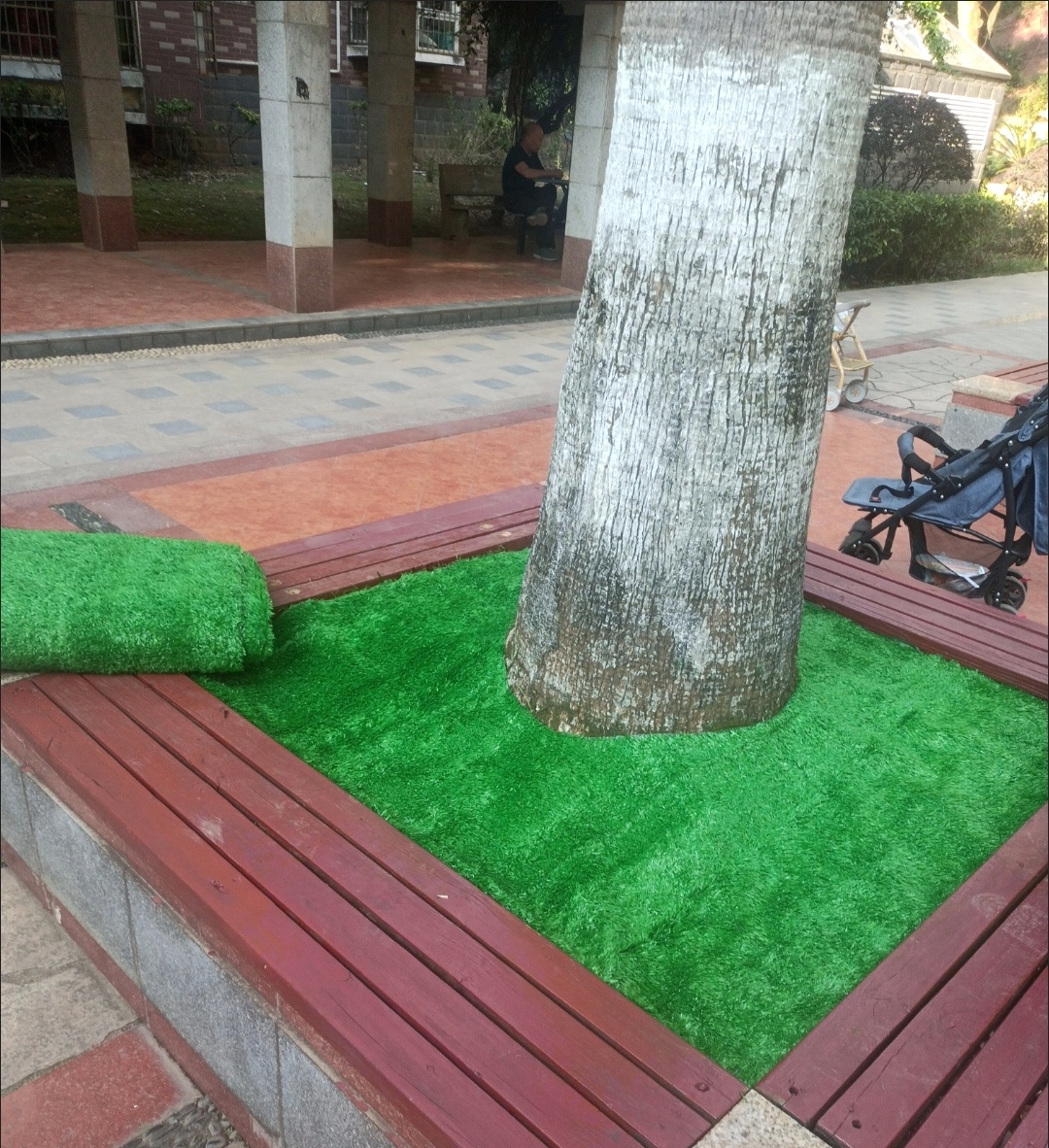 辽阳草坪