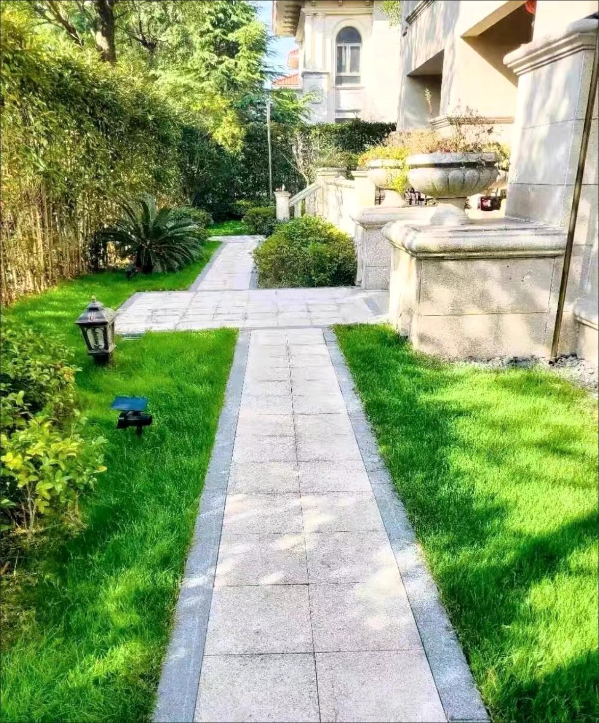 贵阳塑料草坪批发