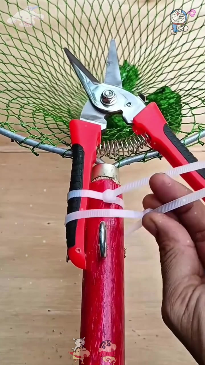 这个工具摘芒果真不错啊