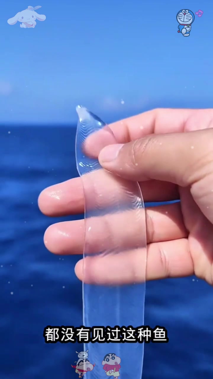 海为什么是蓝色 海为什么是蓝色