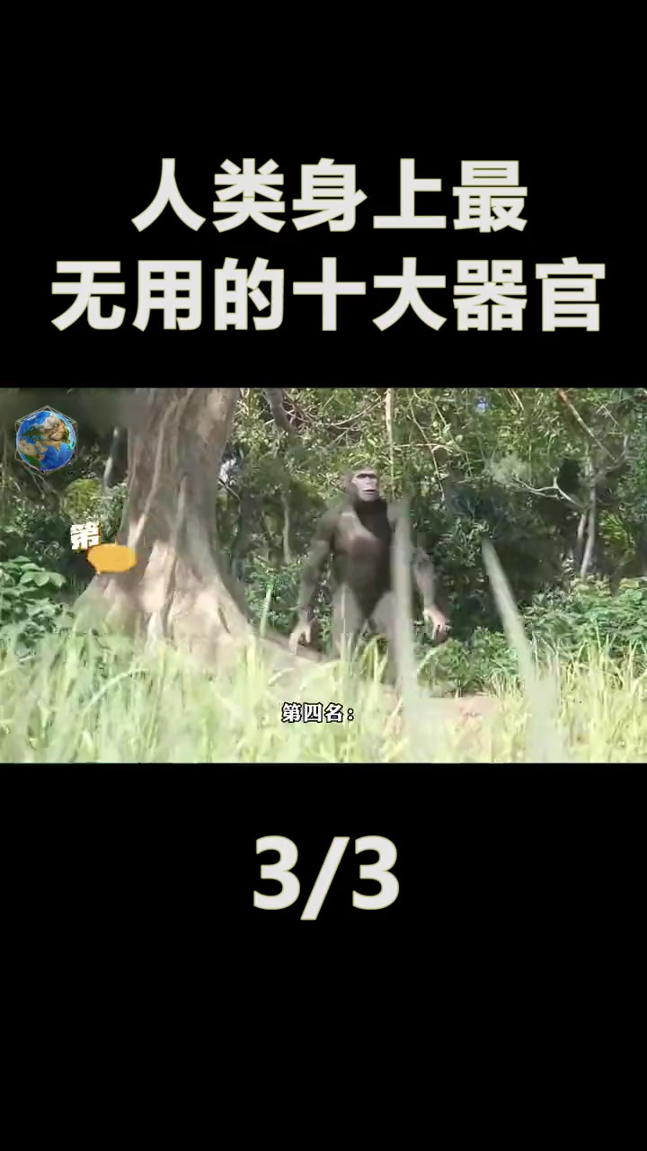 人类身上最没用的器官