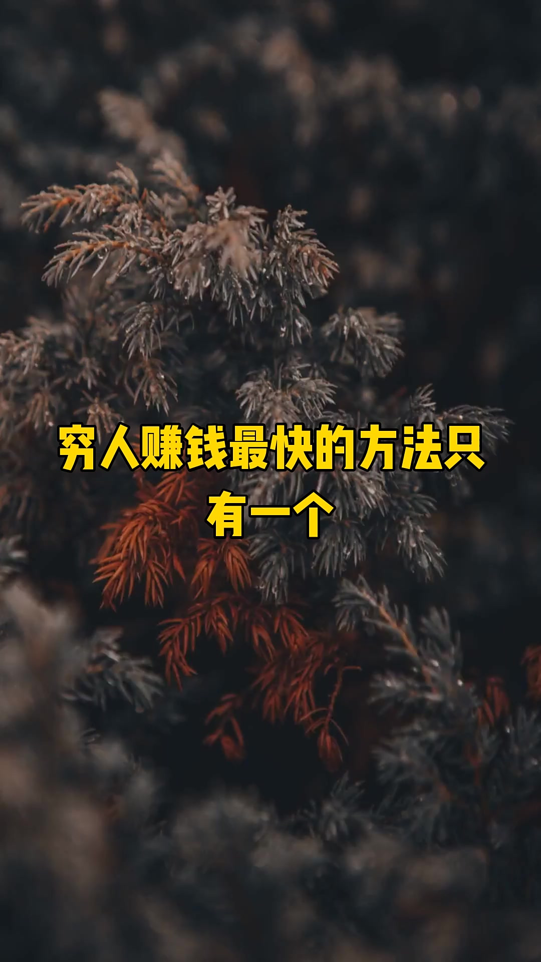 穷人赚钱方法视频(穷人赚钱的门路1717)