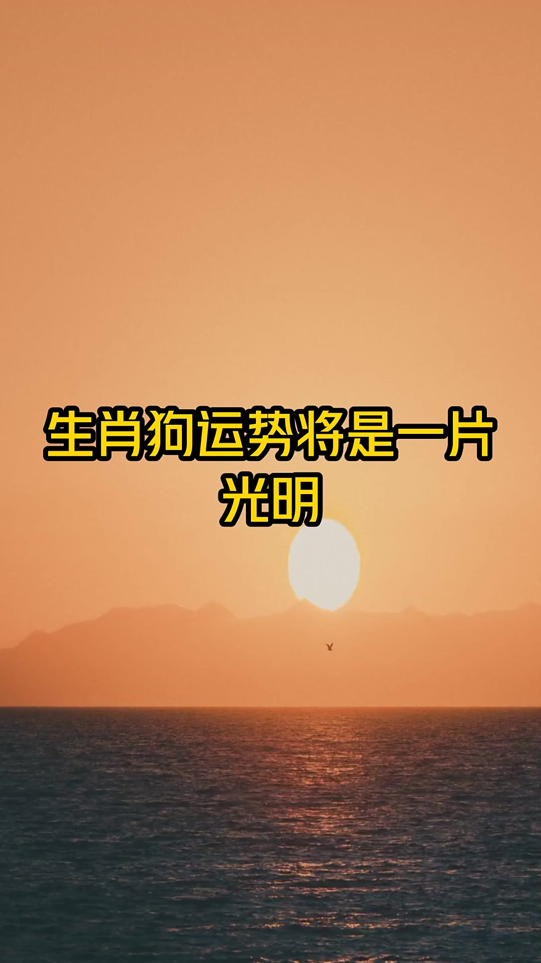 生肖运势狗今日运势(生肖狗今日运势查询十二星座网)
