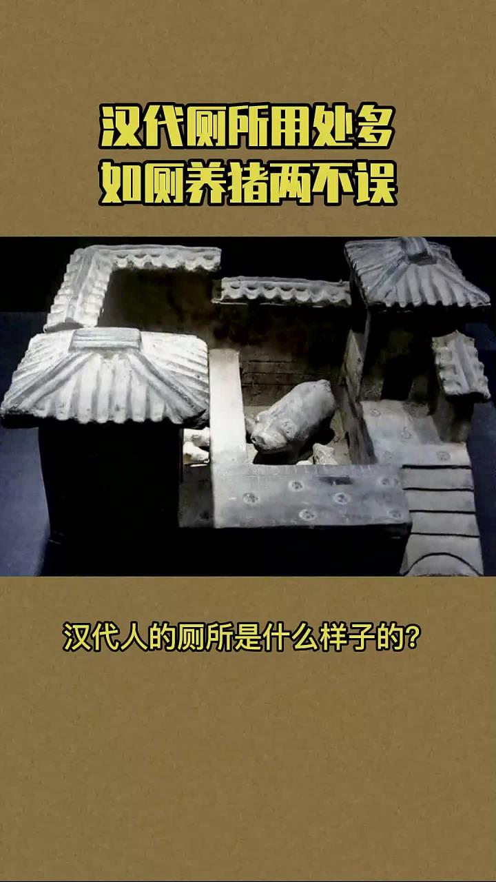 汉代厕所的多样功能,真是一座令人惊叹的知识宝库