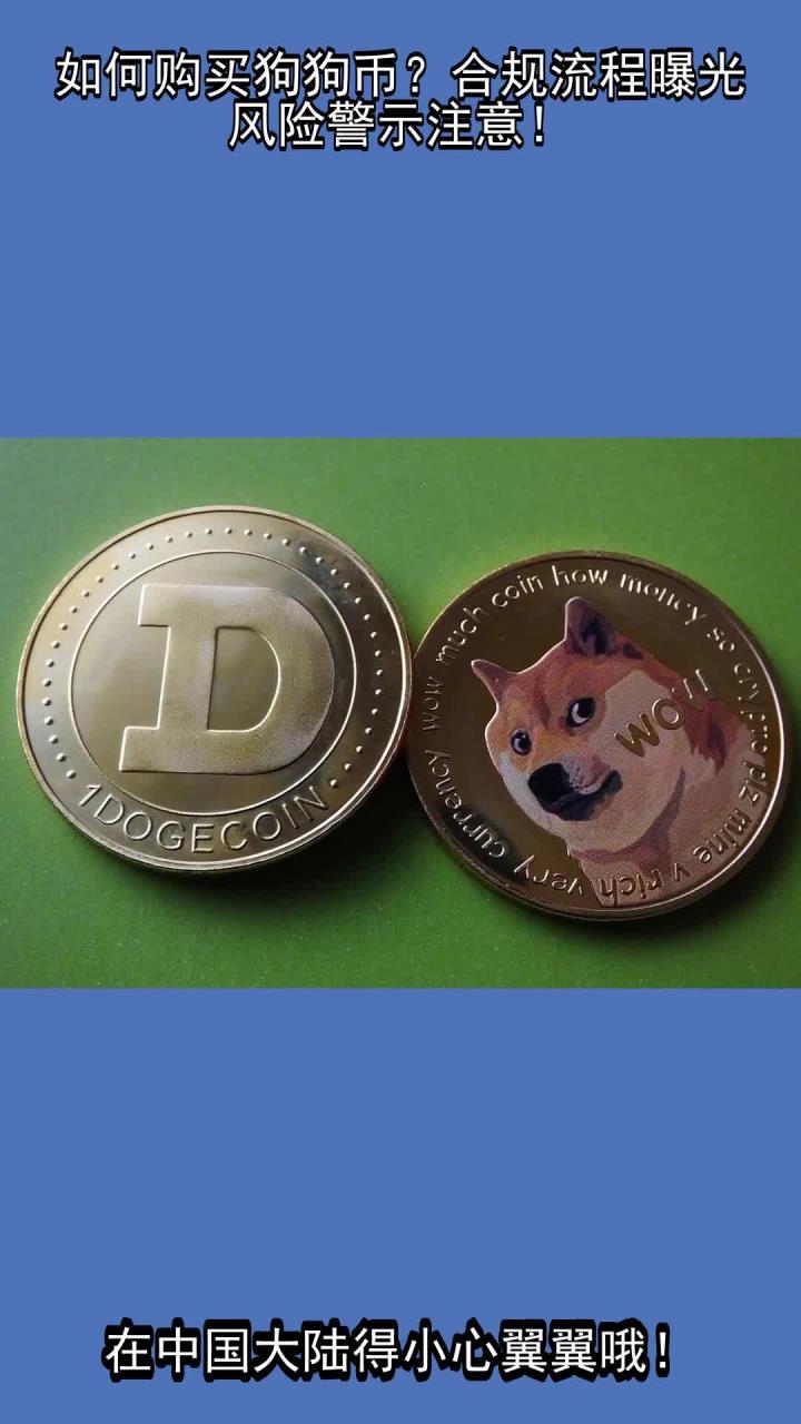 狗狗币在哪里买比较正规，狗狗币在哪里买比较正规安全
