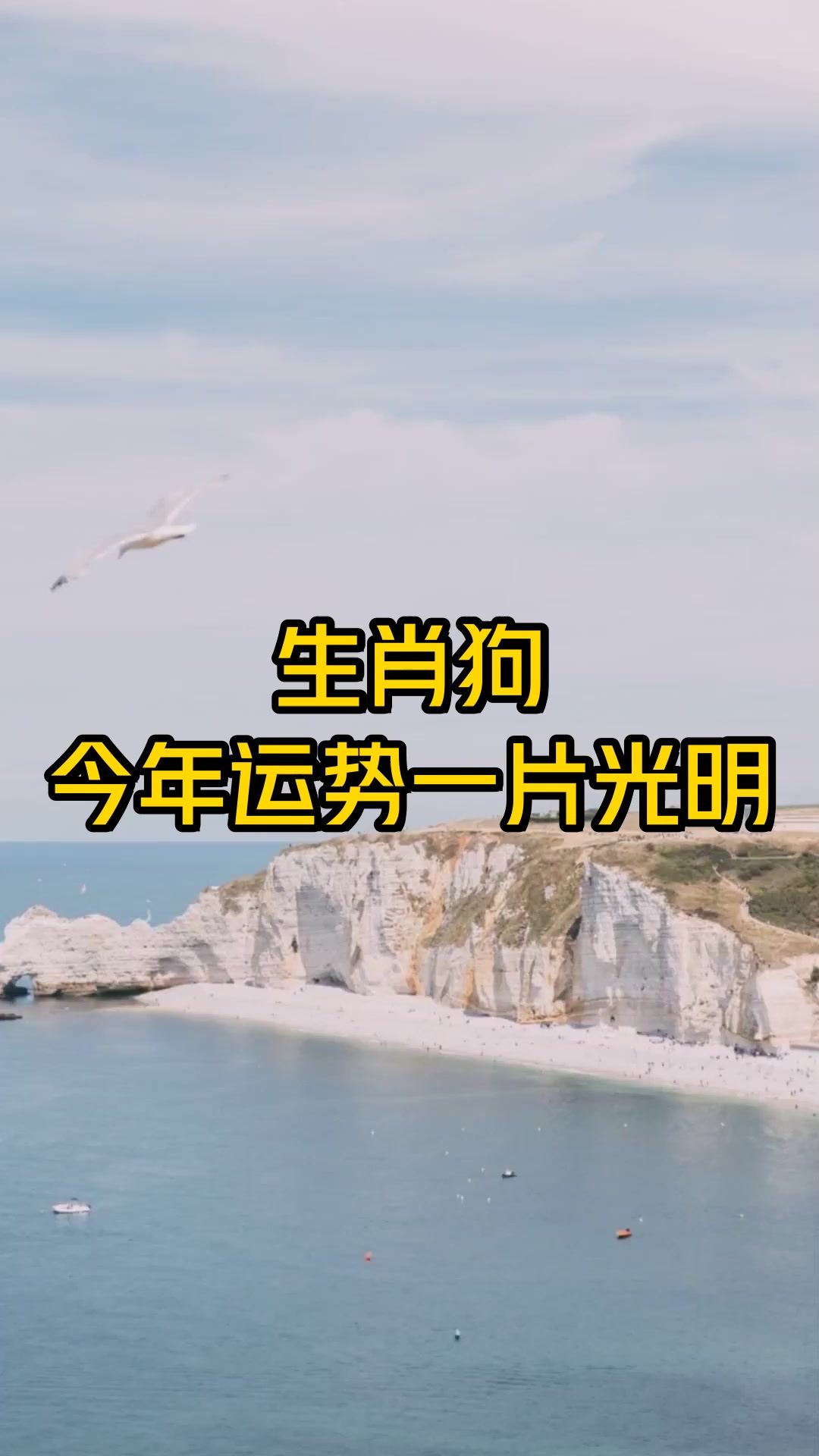 未来10天生肖狗运势(生肖狗未来十年运势)