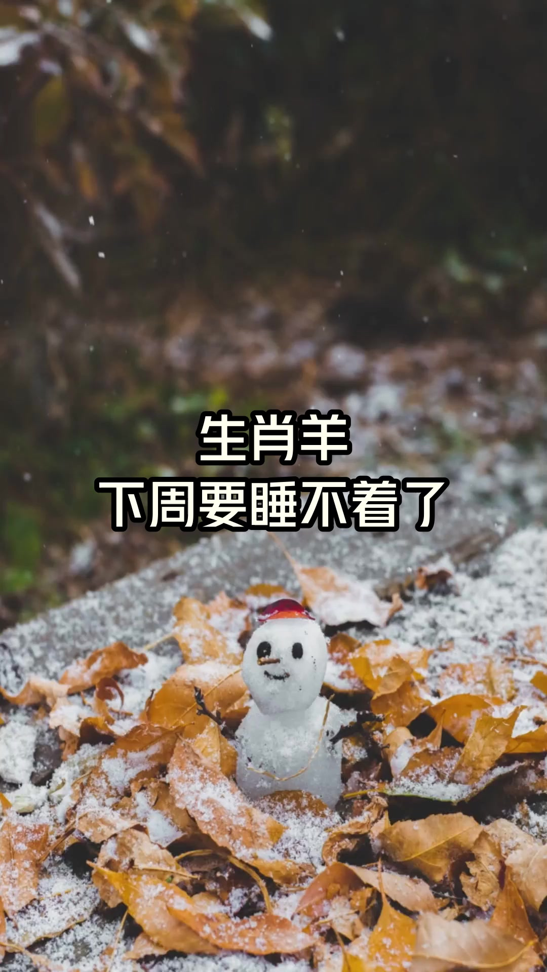 生肖羊,下周要睡不着了!