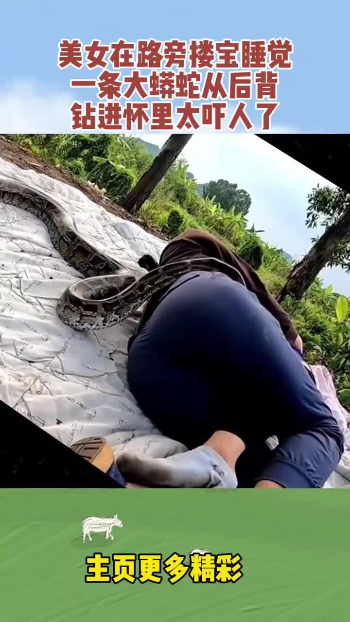 美女在路旁搂宝睡觉,一条大蟒蛇从后背钻进怀里太吓人了