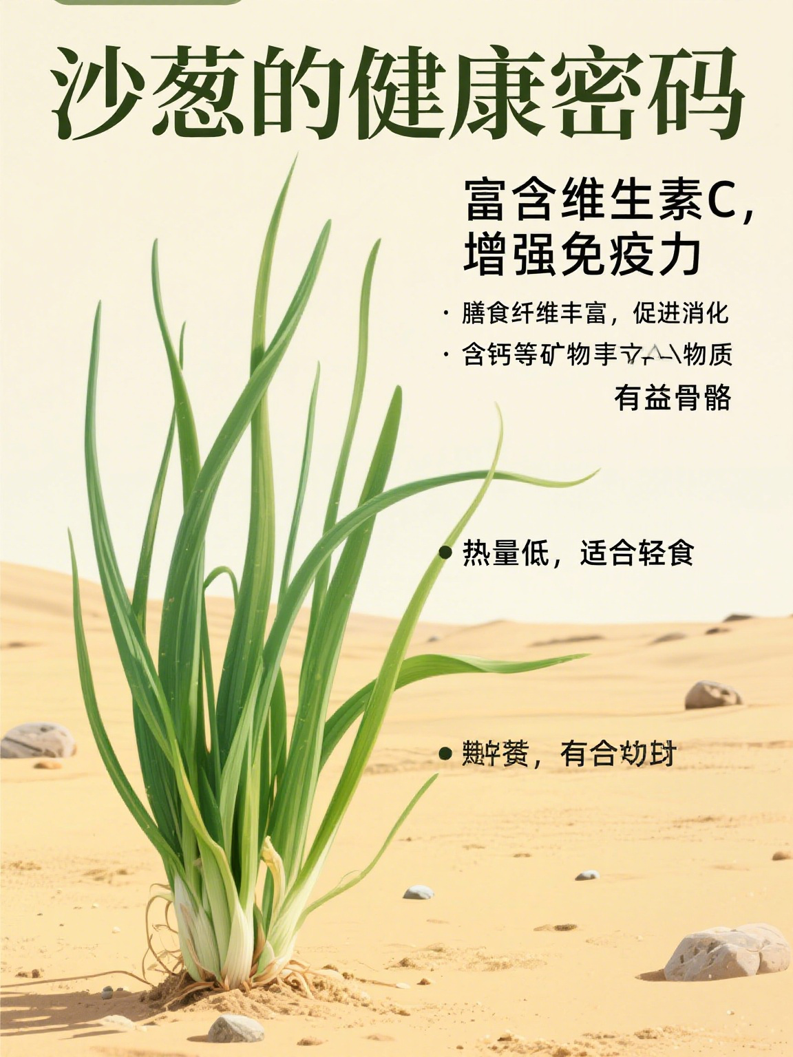 沙葱的功效与作用 沙葱,这种生长在荒漠沙地的独特植物,不仅是西北