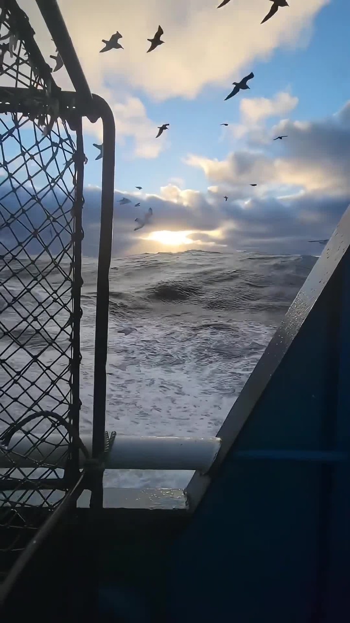 这里是白令海峡,感受自然浩瀚!