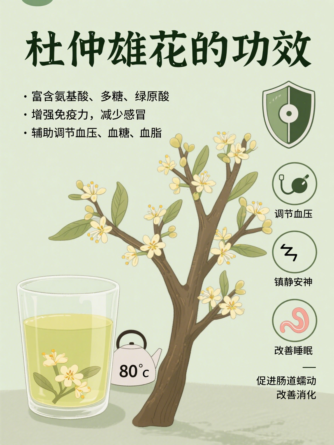 杜仲雄花的功效 杜仲雄花是杜仲树的雄性花蕊,虽不起眼却藏着丰富营养