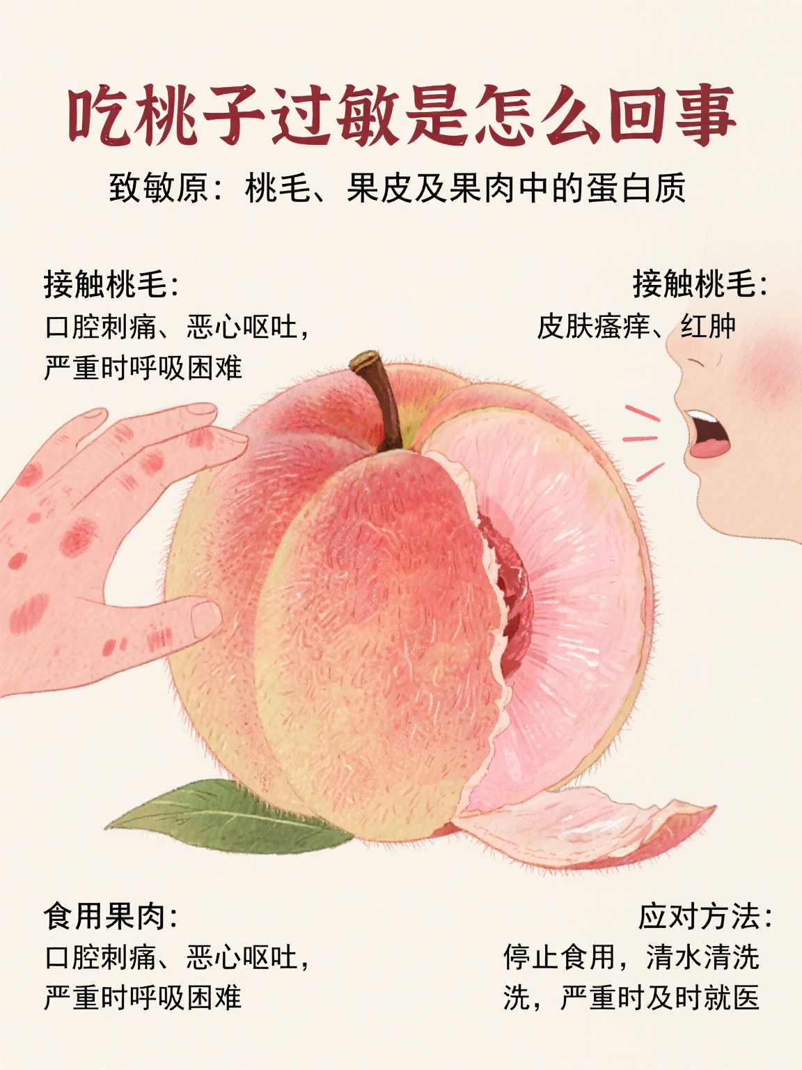 吃桃子过敏是怎么回事 吃桃子过敏是生活中常见的食物过敏现象