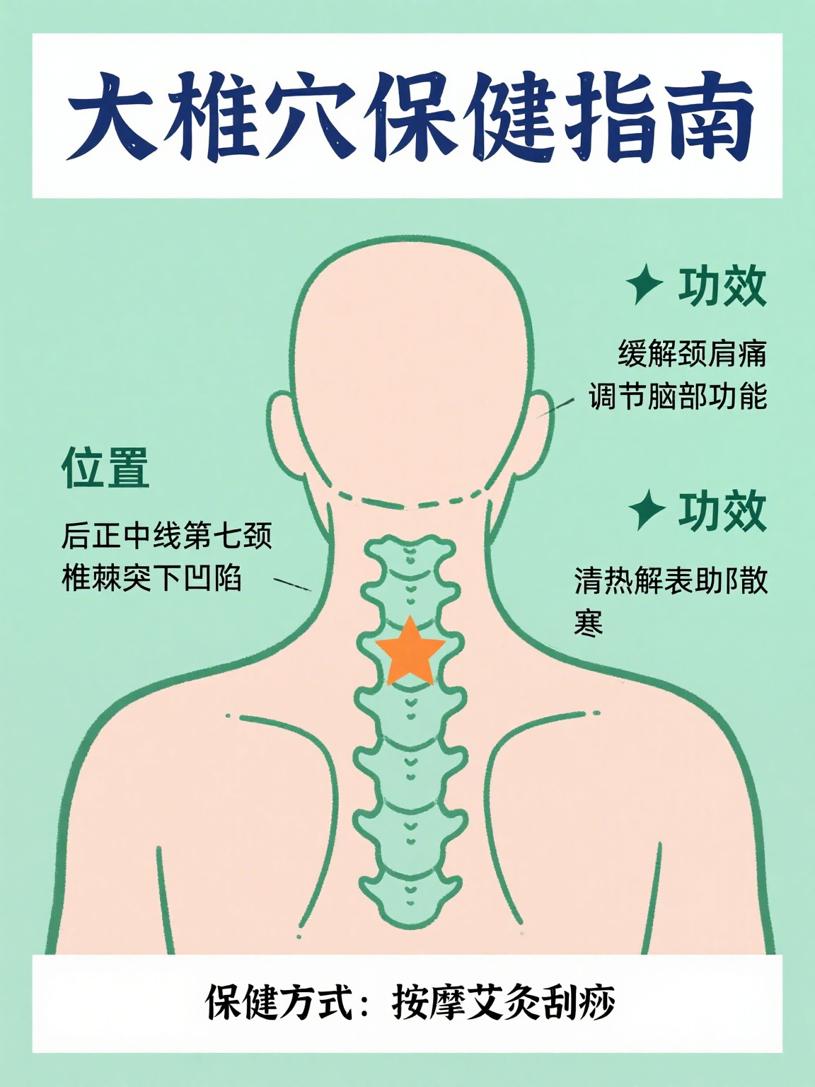 它位于人体后正中线上,在第七颈椎棘突下的凹陷中