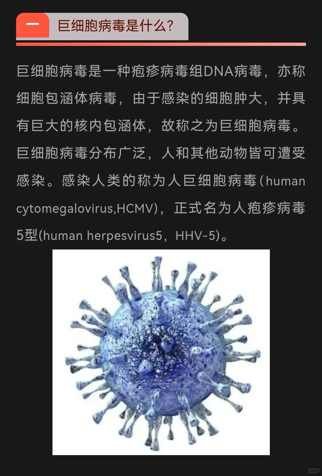  最近出来的病毒叫什么名字啊图片(最近出来的病毒叫什么名字啊图片视频)