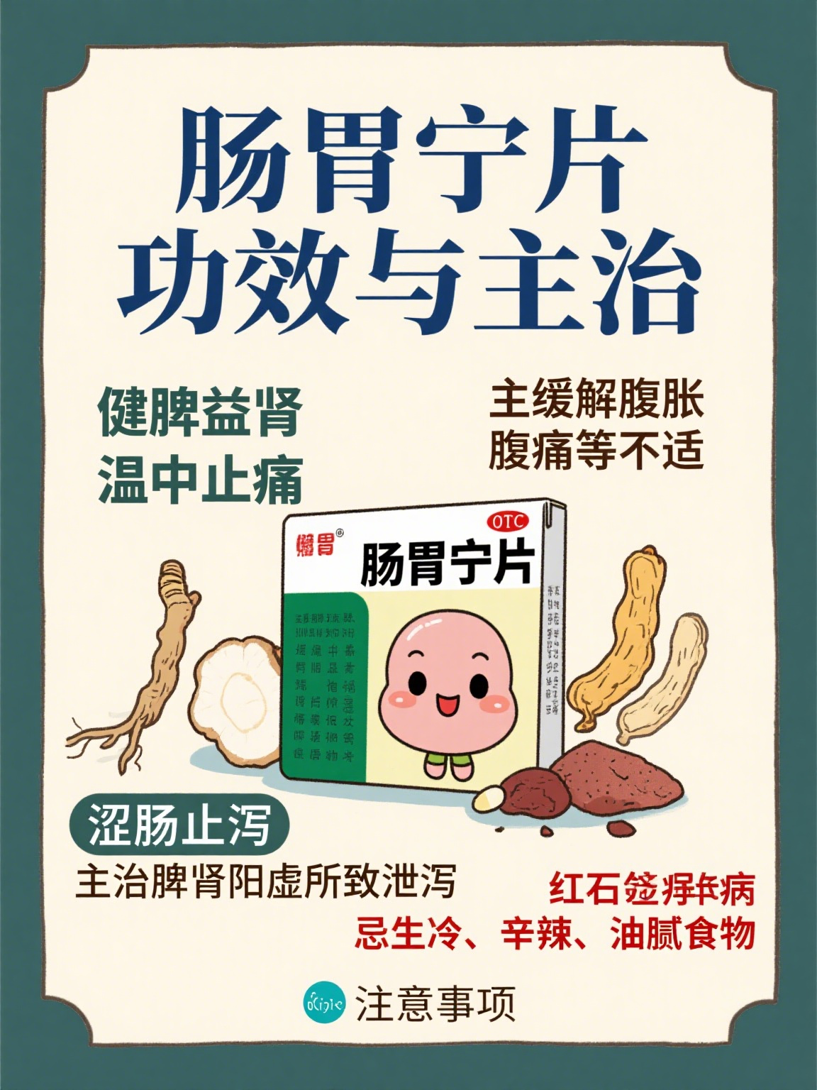 肠胃宁片功效作用与主治