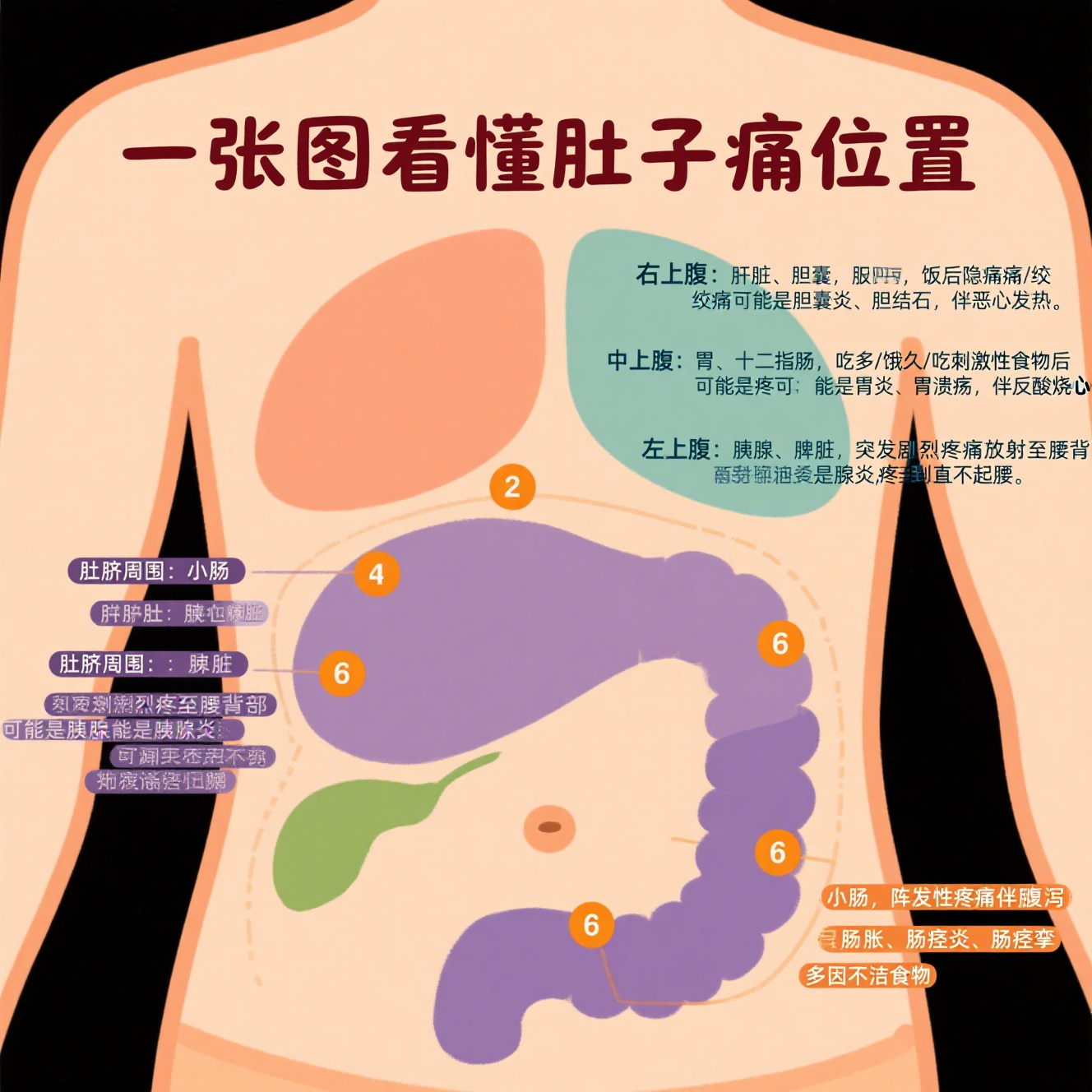正中间隐痛胀痛肚子疼痛区域图胃部上腹部正中隐痛胰腺在哪个部位疼