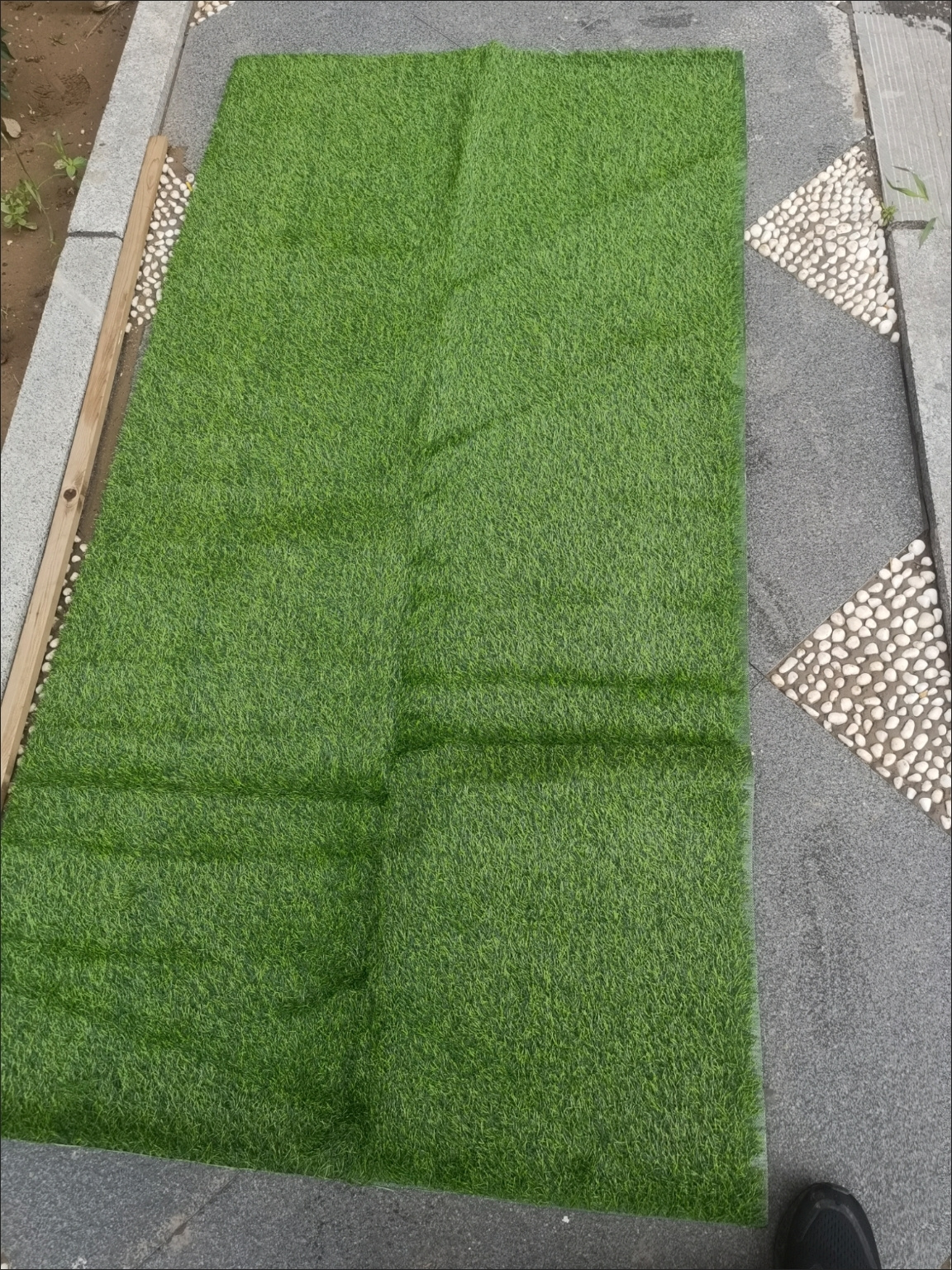 安顺草坪批发