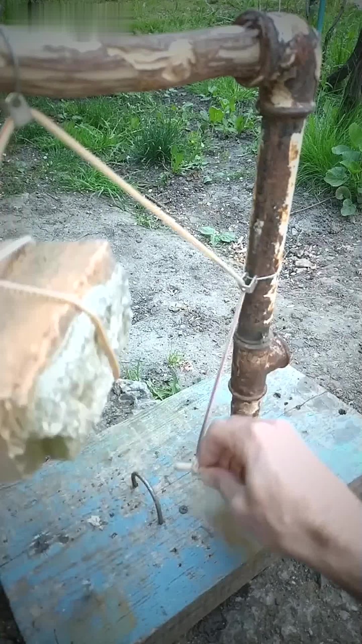 荒郊野岭独自一人!如何快速制作一个陷阱抓一只老鼠充饥?