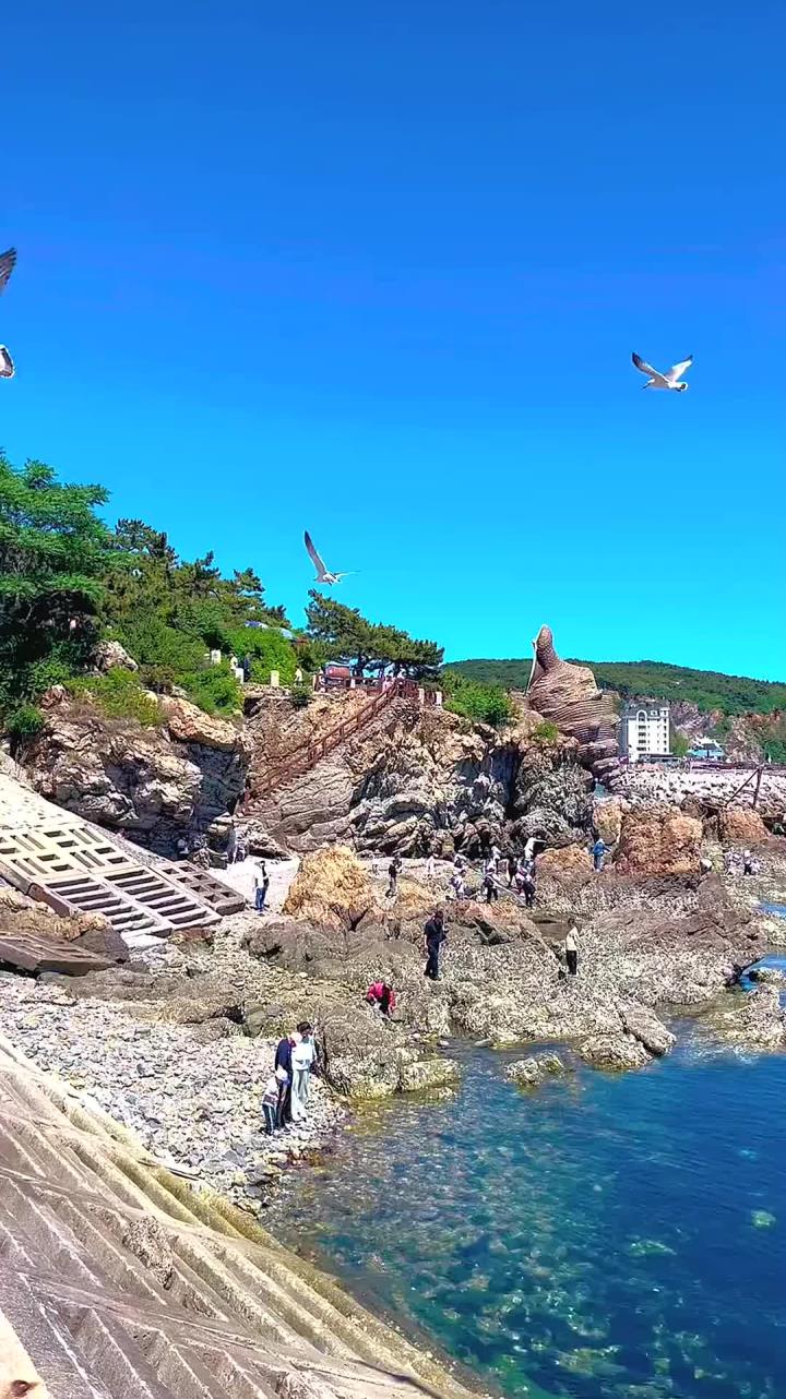 老虎滩海洋公园是现代化海洋主题公园