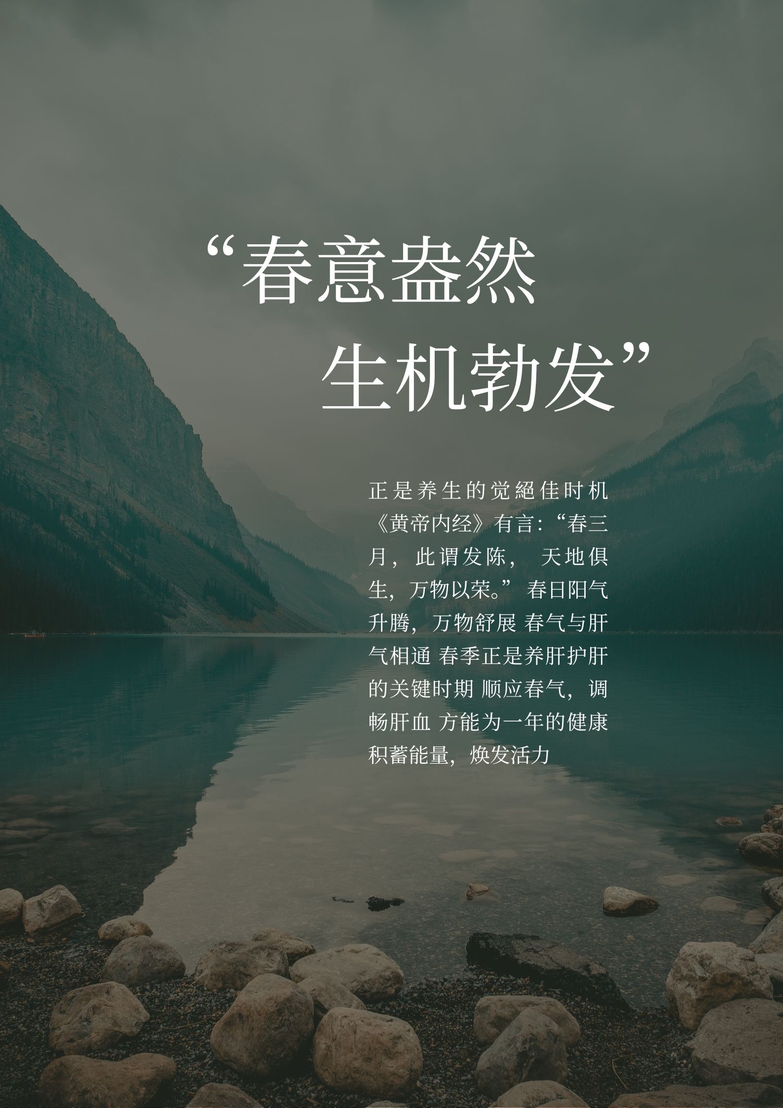    春日阳气升腾万物舒展 春气与肝气相通 春季正是养肝护肝的关键