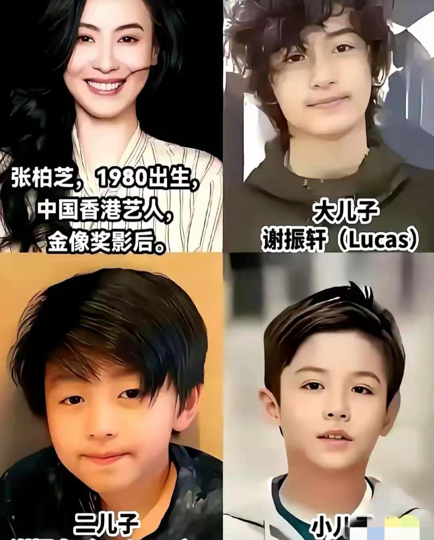 张柏芝儿子与谢霆锋相似度 100%!娱乐圈基因迷局大揭秘 宝子们!