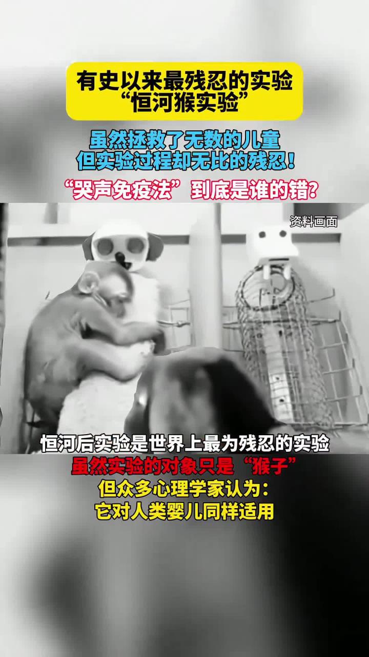 僧帽猴实验视频 - 僧帽猴可以作为宠物吗