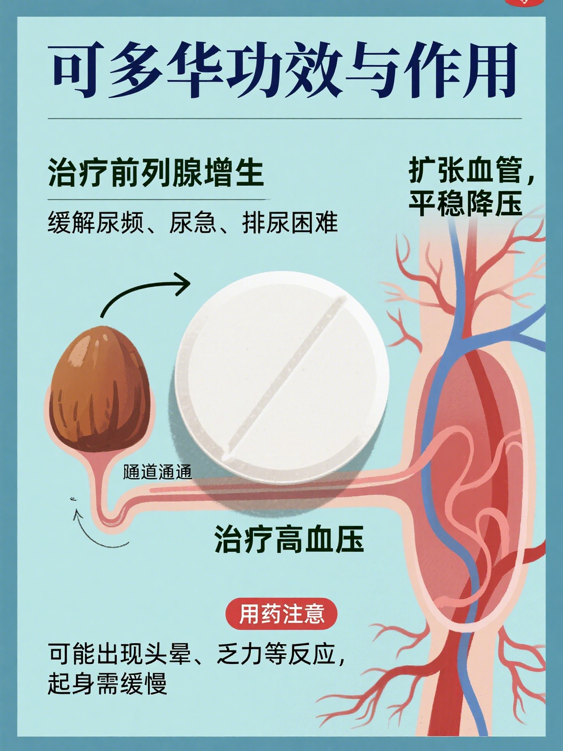 可多华的功效与作用 可多华是一种常用于治疗前列腺增生和高血压的