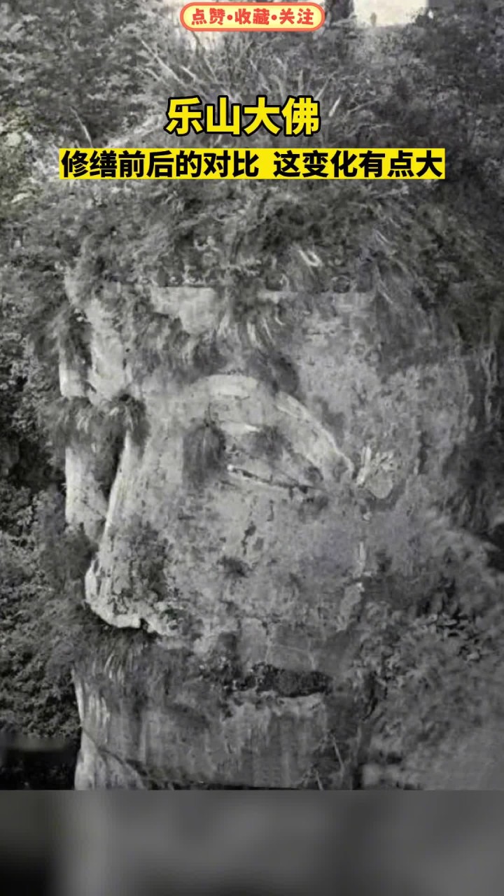 这变化有点大!乐山大佛 老照片