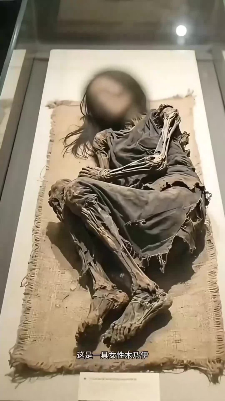 神秘古尸展:千年不腐的奇异发现!