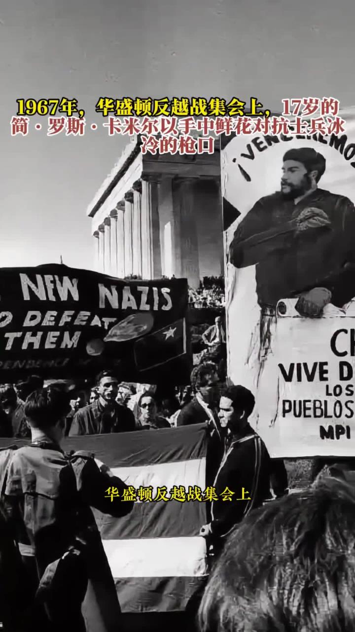 1967年华盛顿反越战集会,17岁简·罗斯·卡米尔以鲜花对抗士兵枪口