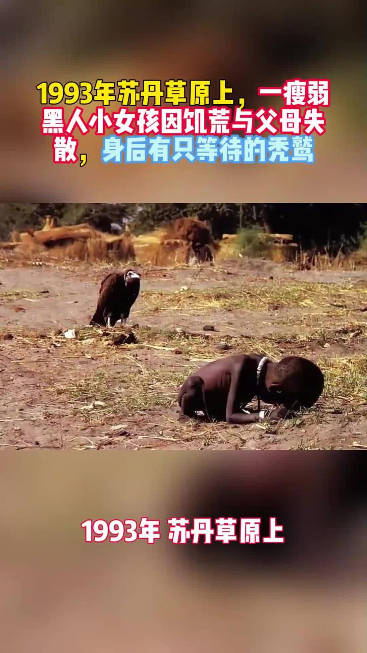 1993年,一瘦弱黑人小女孩因饥荒与父母失散,身后有只等待的秃鹫