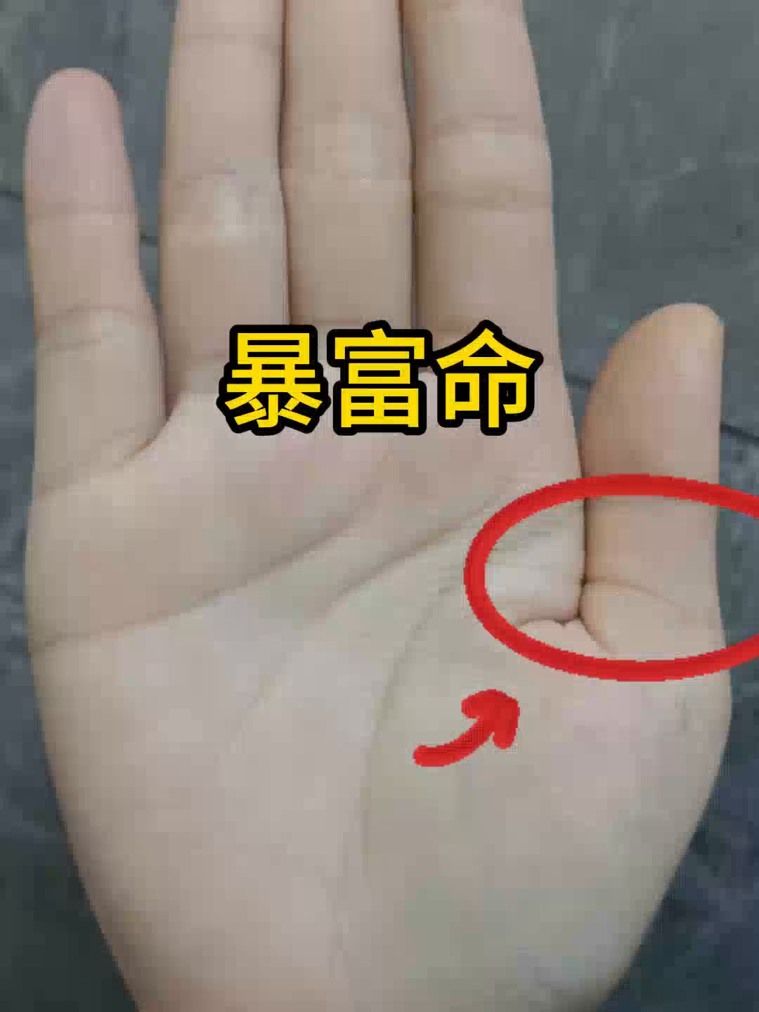 暴富的掌纹,未来暴富的概率很大,只要敢尝试