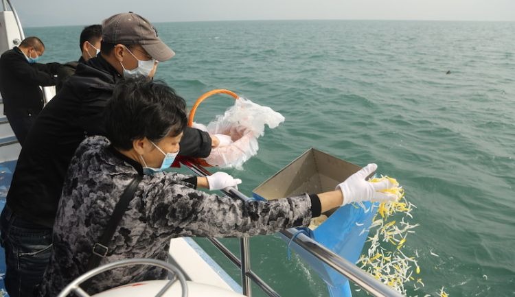 天津骨灰撒海