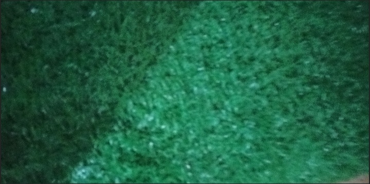 假草坪的缺点