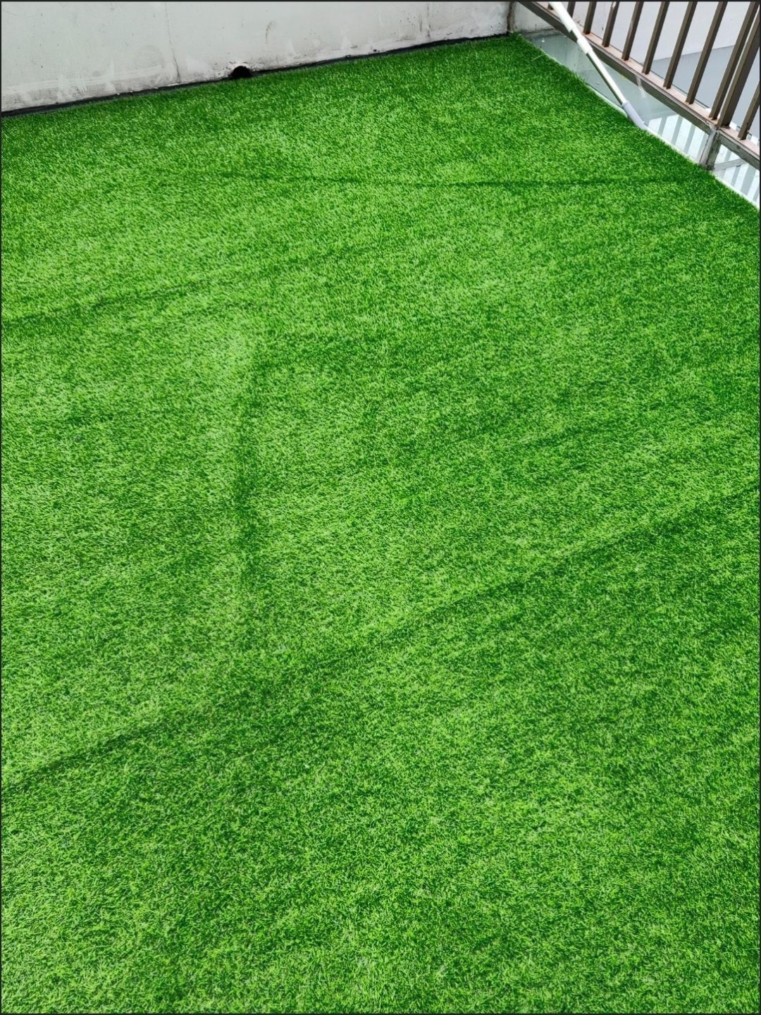 河南绿博草坪基地
