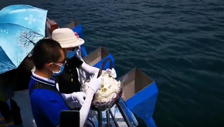 秦皇岛海葬地点有哪些