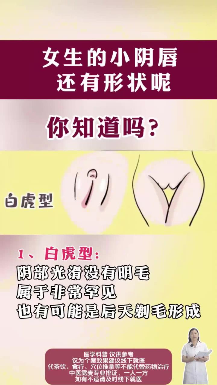 女生的小阴唇还有形状呢
