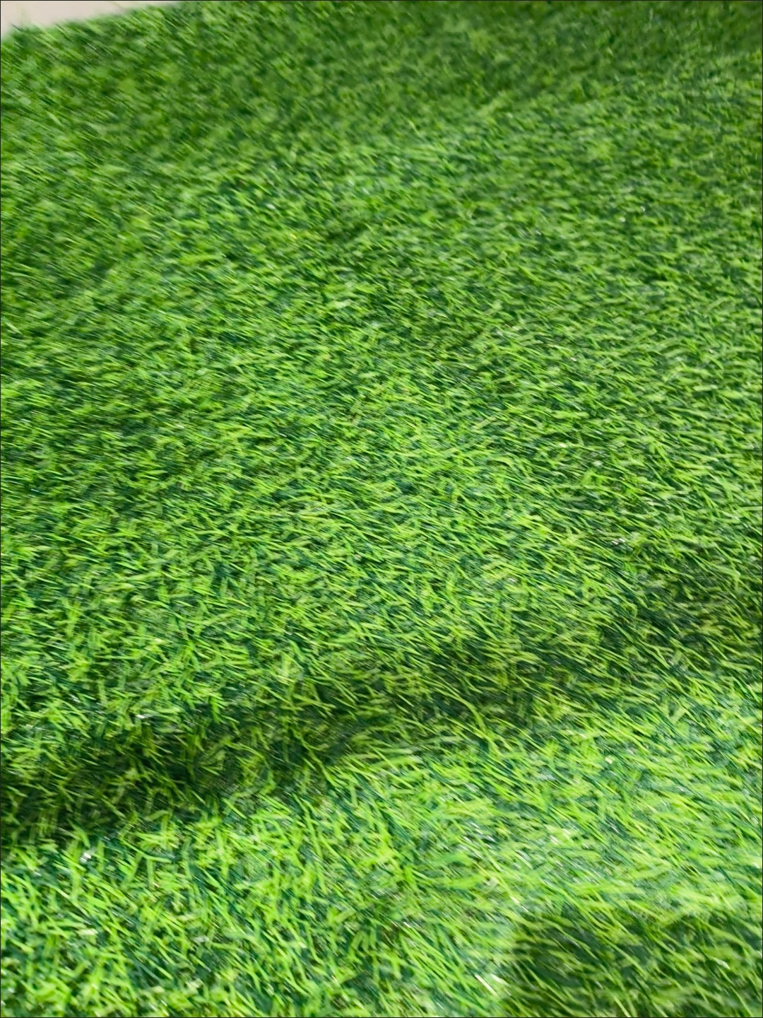 金口草坪基地